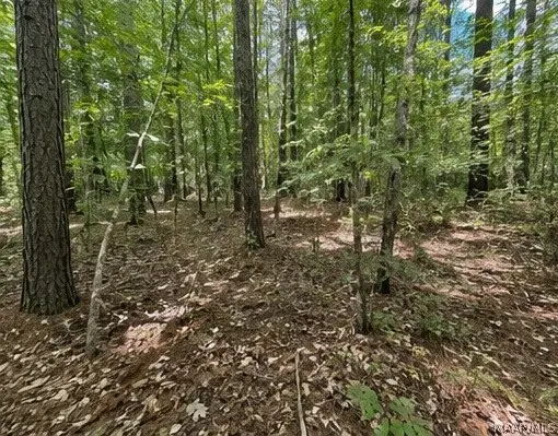 0 Morning Star Road, Whatley, AL 36482 - #3