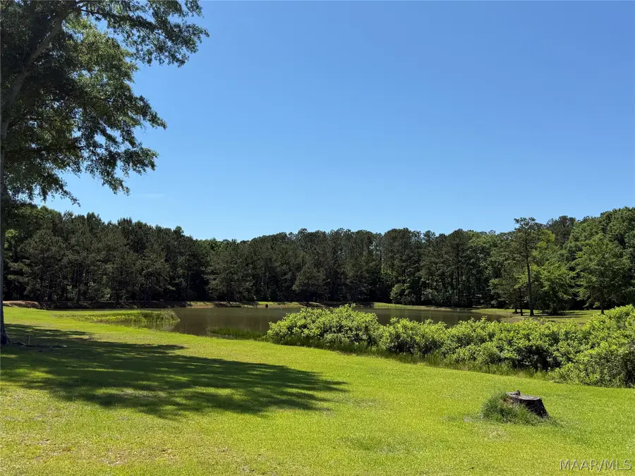 3287 Shows Road, Georgiana, AL 36033 - #2