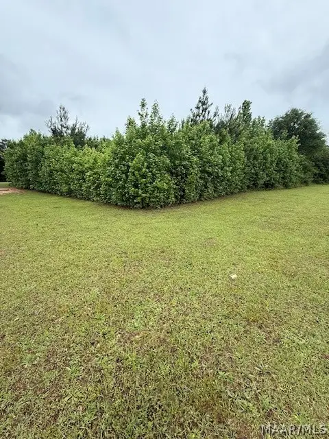 1 Cottrell Way, Autaugaville, AL 36003 - #1