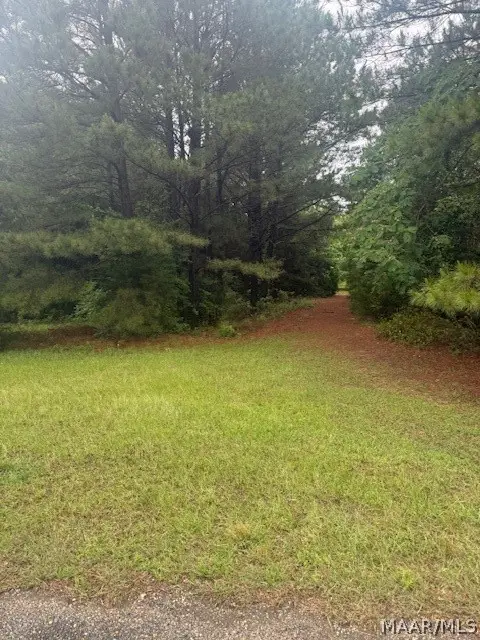 3 Cottrell Way, Autaugaville, AL 36003 - #1