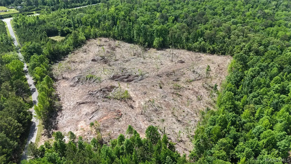 387 County Road 79, Rockford, AL 35010 - #1