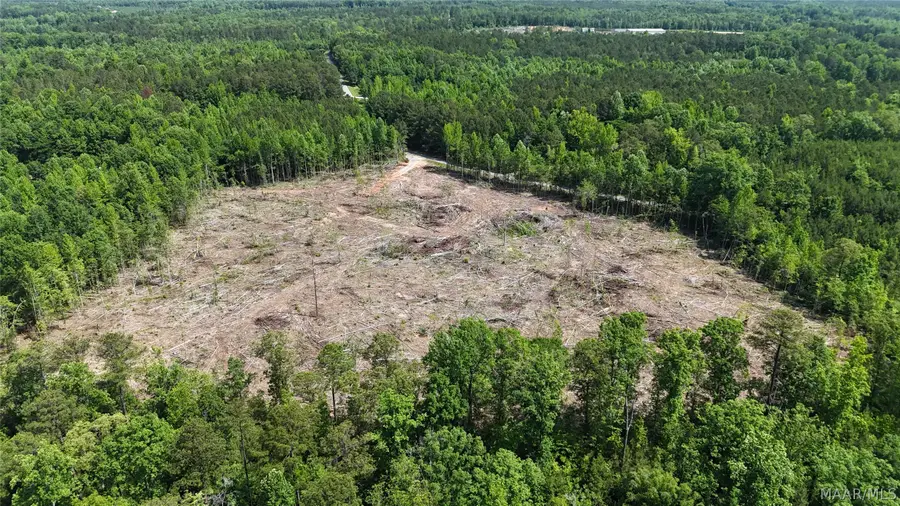 387 County Road 79, Rockford, AL 35010 - #2