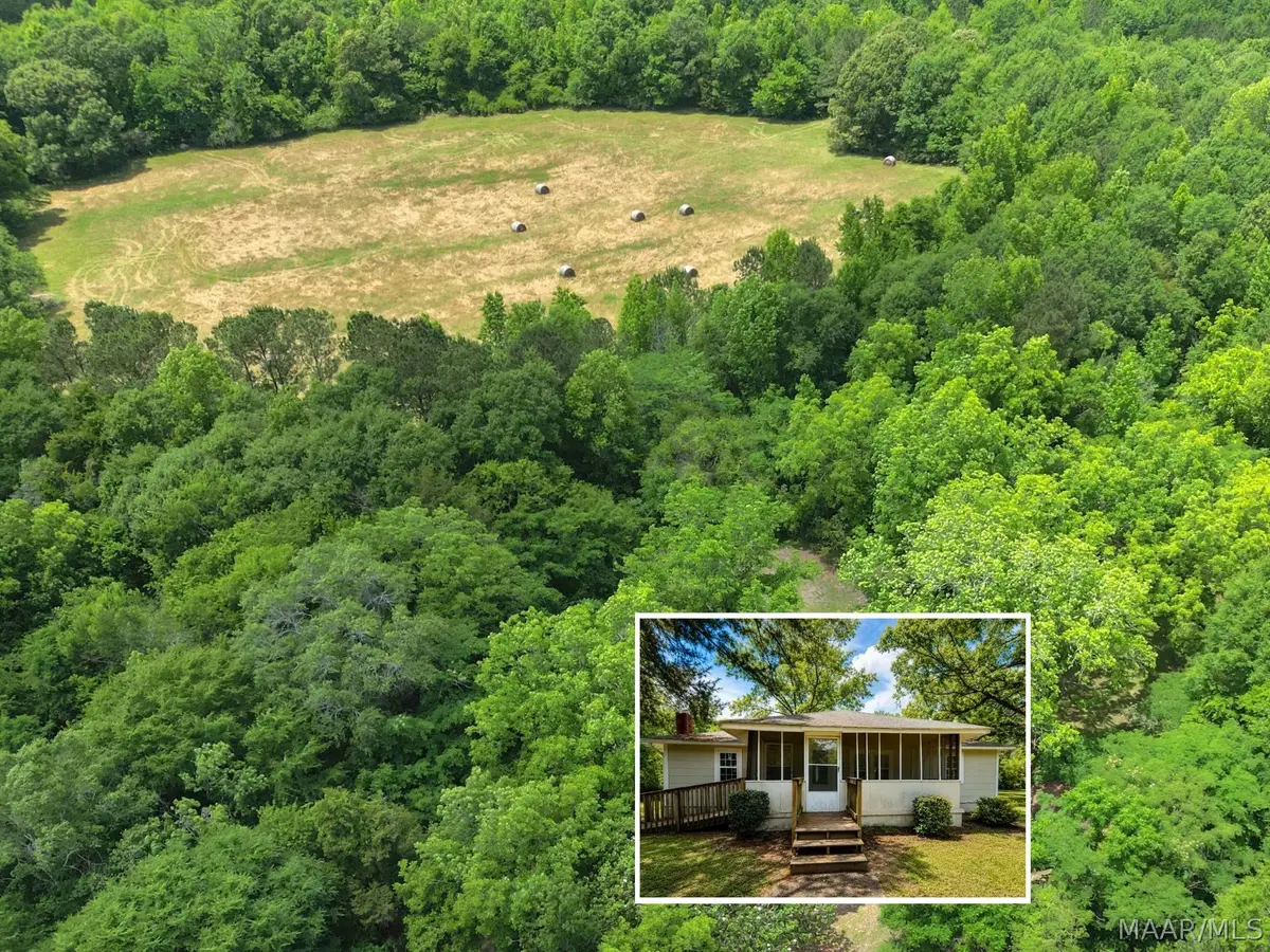 503 Hopewell Cemetery Road, Honoraville, AL 36042 - #1