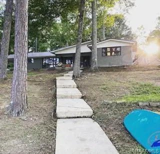 210 Shady Lane Road, Eclectic, AL 36024 - #3