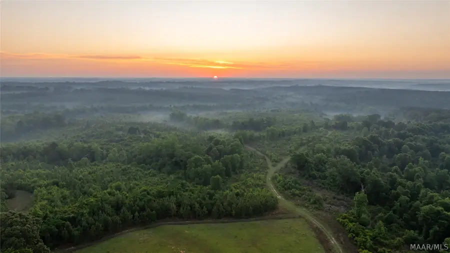 7404 Highway 141, Elba, AL 36230 - #3
