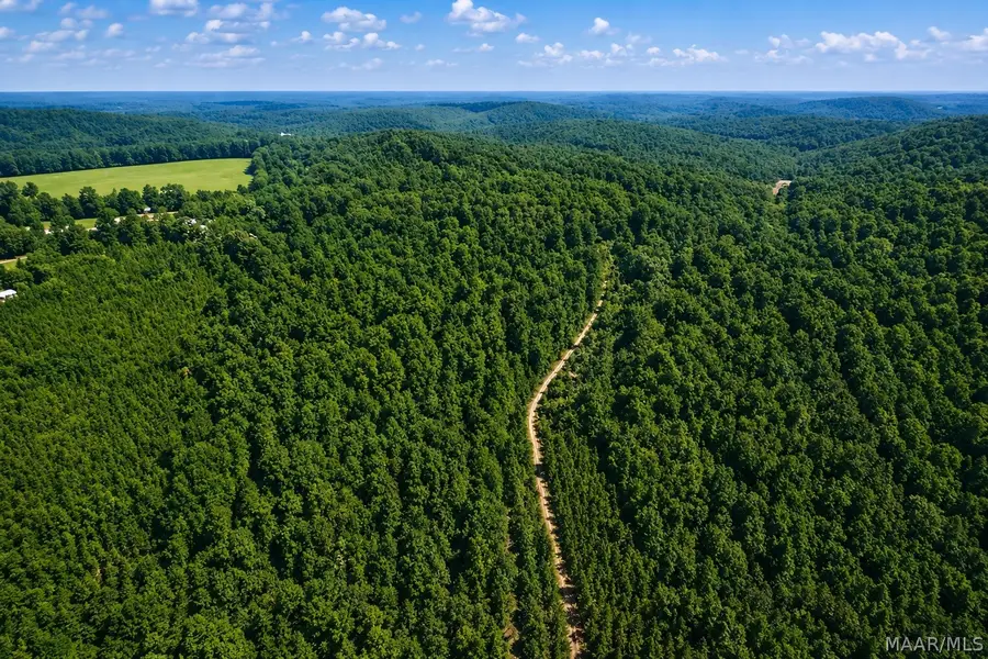 0 County Road 459, Clanton, AL 35045 - #3