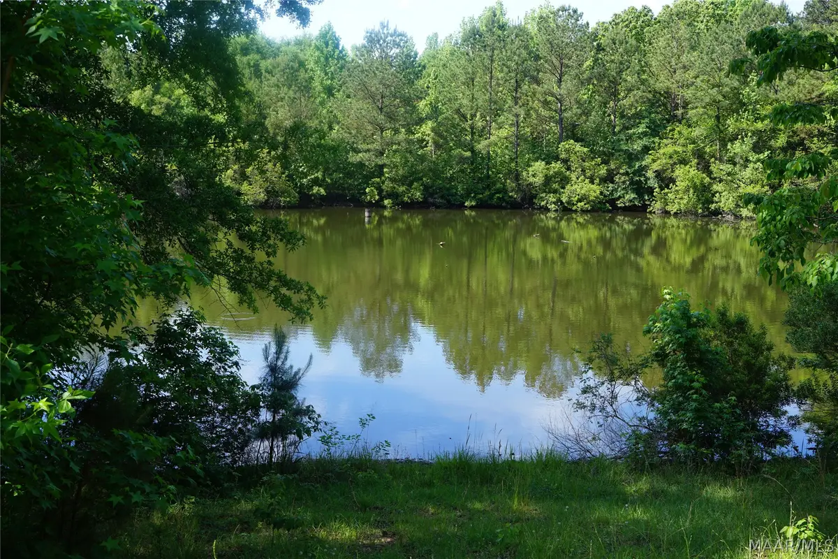 2768 Hillabee Road, Ramer, AL 36069 - #1