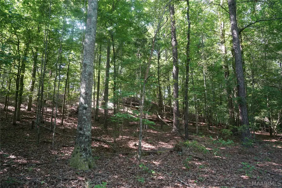 2768 Hillabee Road, Ramer, AL 36069 - #3