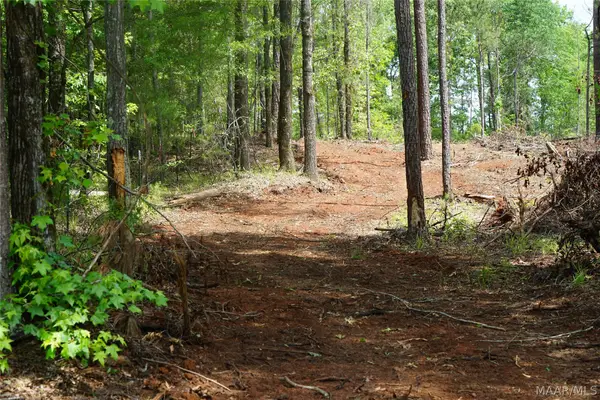 1300 Jackson Road, Fitzpatrick, AL 36029
