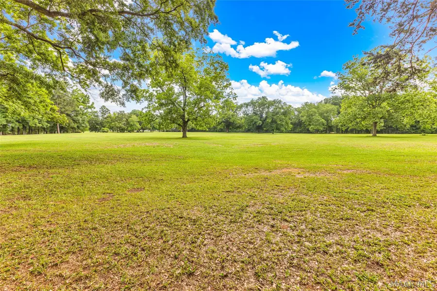 503 Forest Circle, Troy, AL 36081 - #3