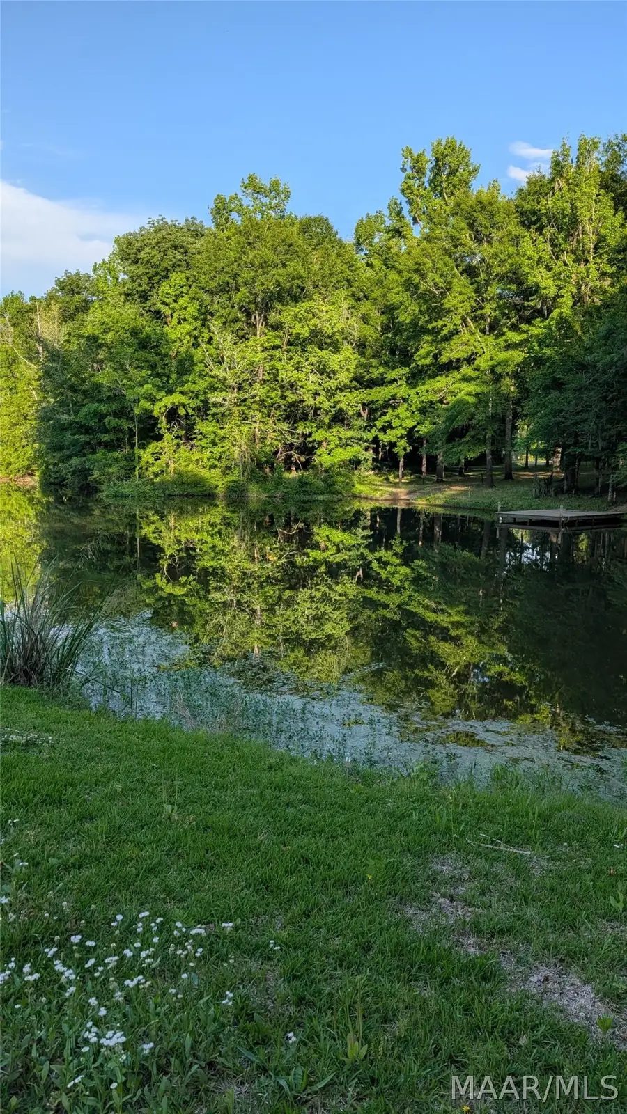 26 River Oaks Landing, Orrville, AL 36767 - #2