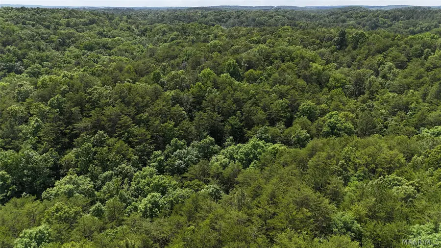 1450 SR 145 Grand Point, Clanton, AL 35046 - #2