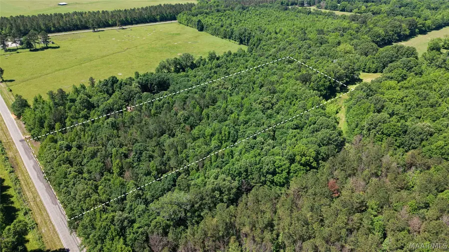 4884 Scott Station Road, Marion, AL 36756 - #3