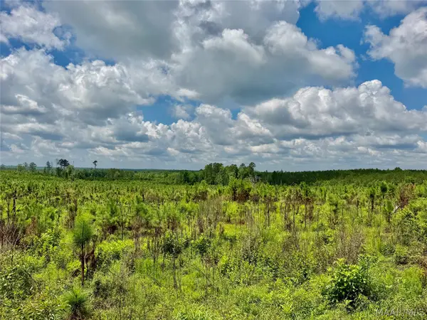 00 King Cemetery Road, Evergreen, AL 36401