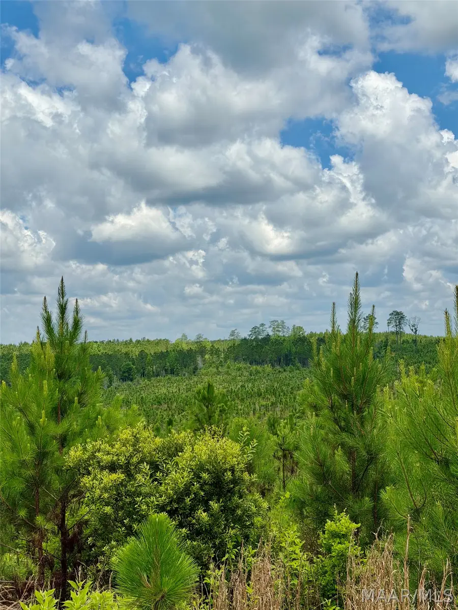 00 King Cemetery Road, Evergreen, AL 36401 - #3