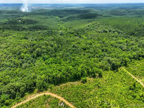 00 County Road 165, Prattville, AL 36067