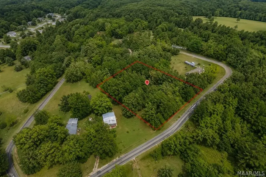 703 Elizabeth Lane, Lowndesboro, AL 36752 - #2