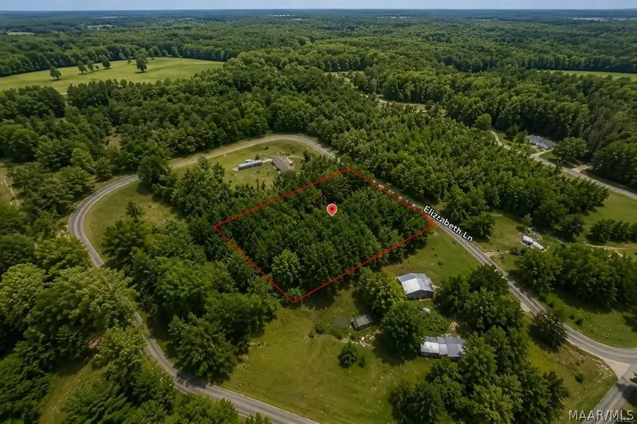 703 Elizabeth Lane, Lowndesboro, AL 36752 - #3