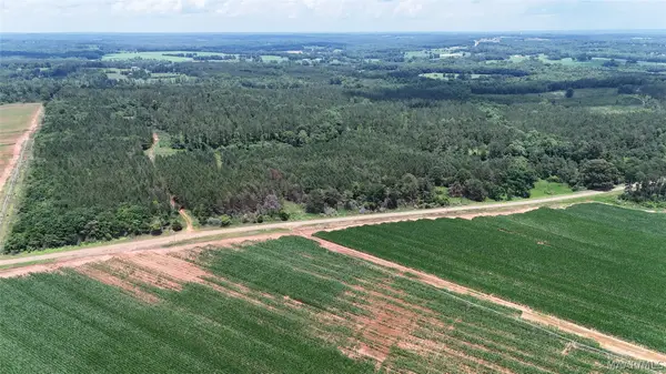 154 County Road 38 Acres, Banks, AL 36005