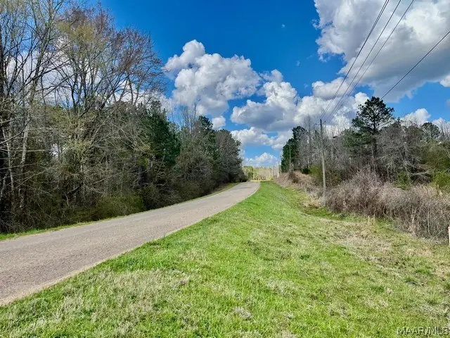 1 Union Road, Eclectic, AL 36024 - #1