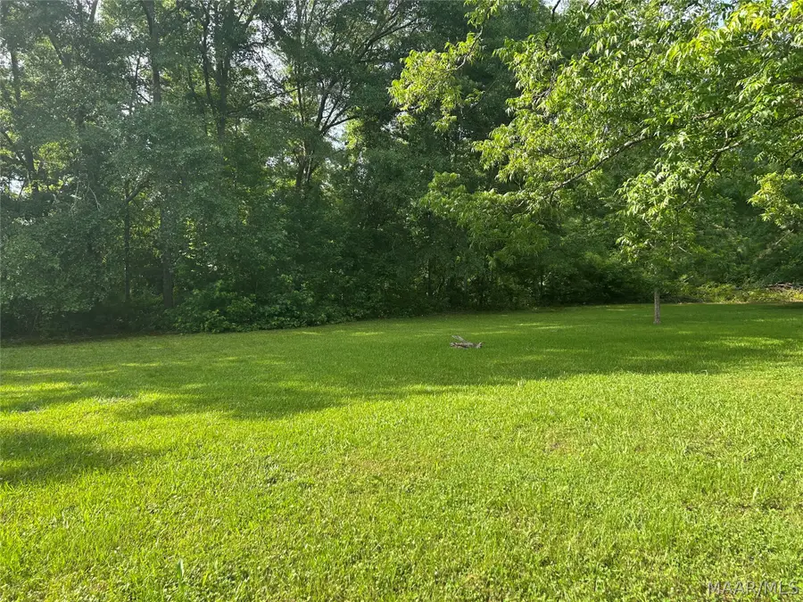 167 County Road 162 Road, Orrville, AL 36767 - #3