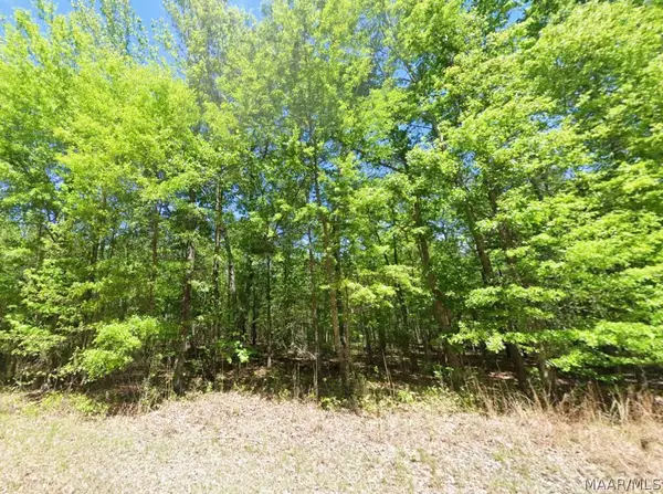 0 County Road 19, Hardaway, AL 36039