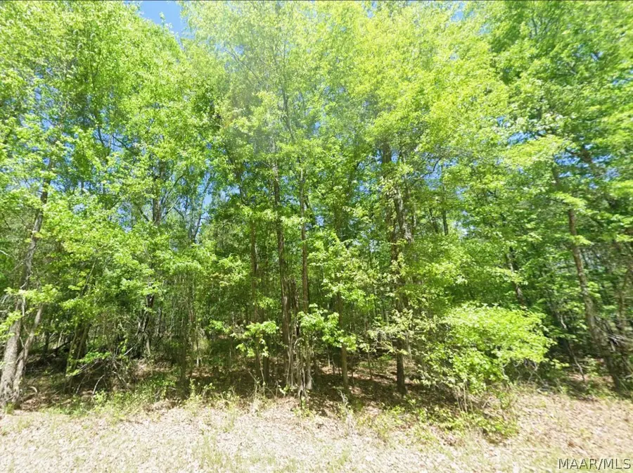 0 County Road 19, Hardaway, AL 36039 - #2
