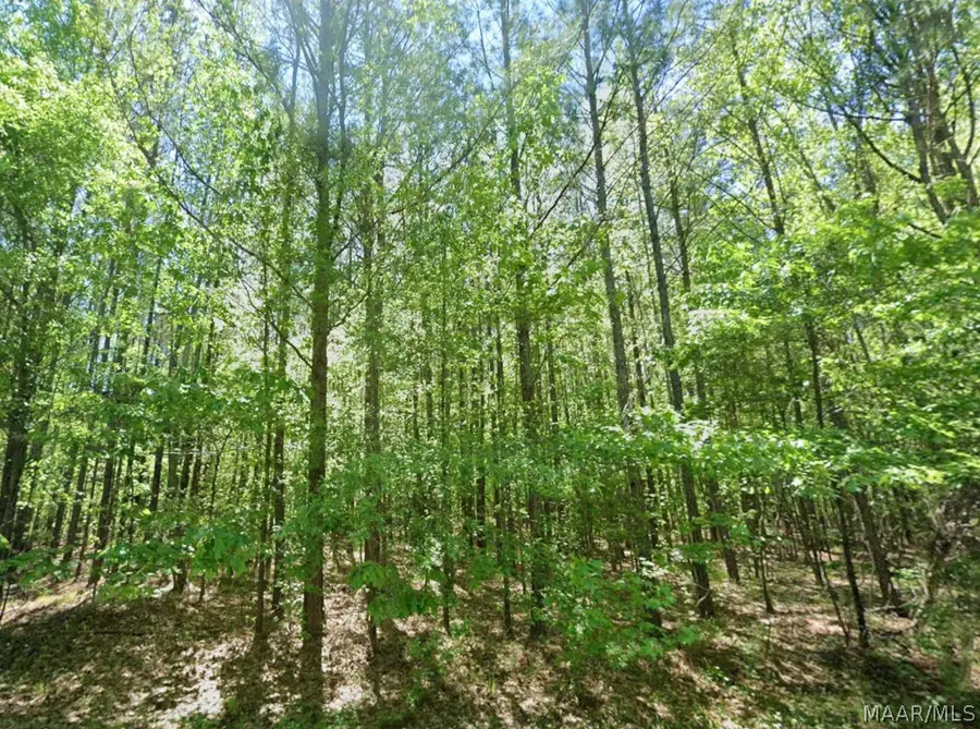 0 County Road 19, Hardaway, AL 36039 - #3