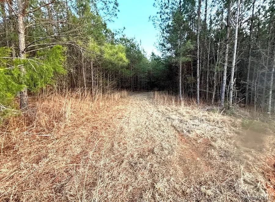 1522 Naftel Road, Grady, AL 36036 - #3