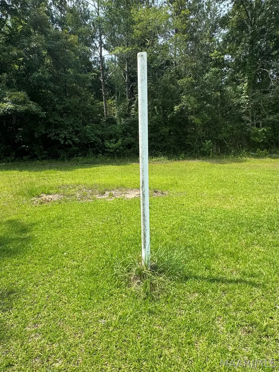 375 N Bethlehem Road, Greenville, AL 36037 - #2