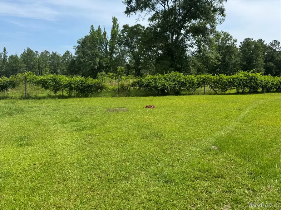 375 N Bethlehem Road, Greenville, AL 36037 - #3