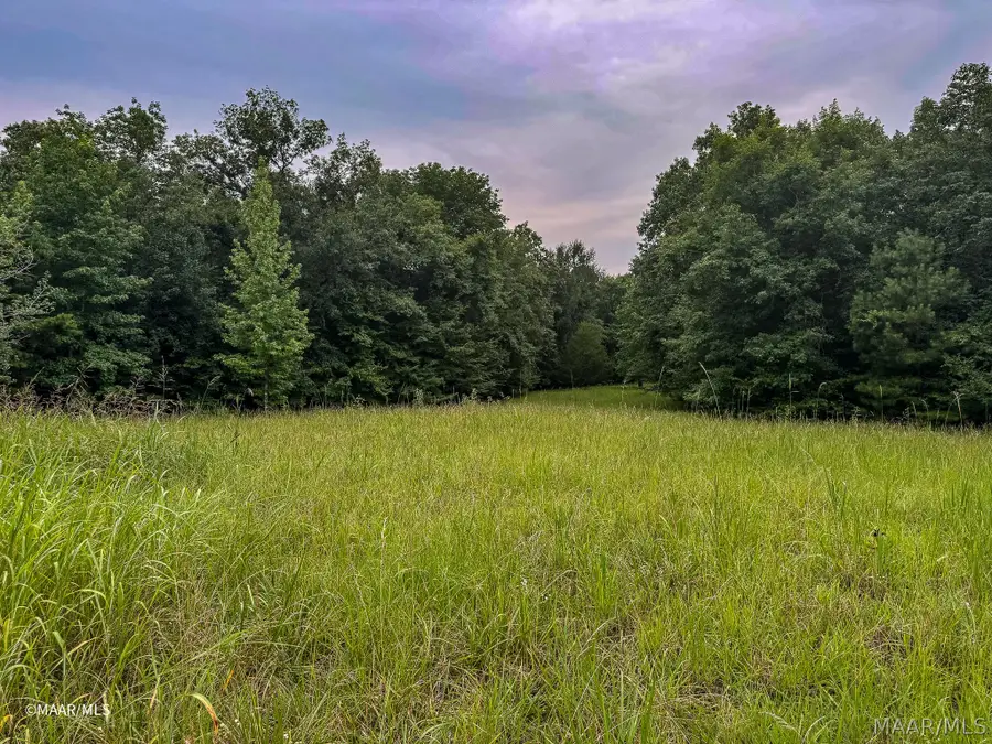 Lot 48 Legacy Shores, Alberta, AL 36720 - #2