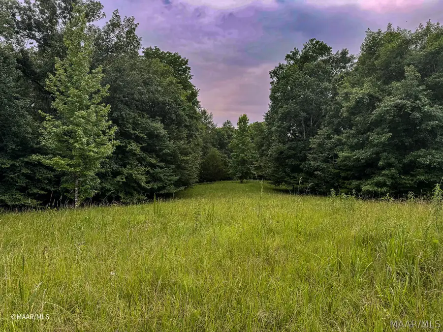 Lot 48 Legacy Shores, Alberta, AL 36720 - #3