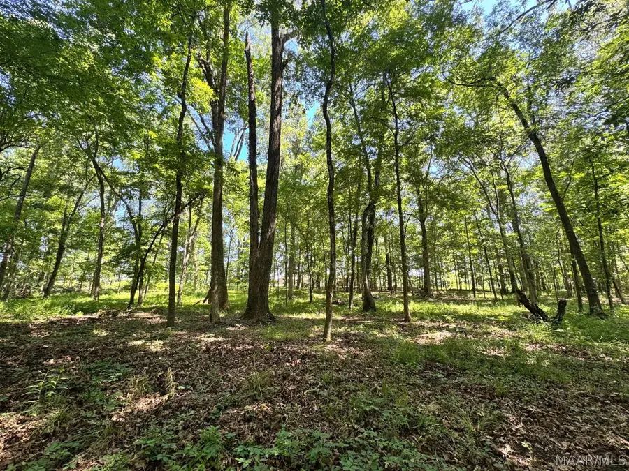 8 Chaseway Drive, Pike Road, AL 36064 - #2