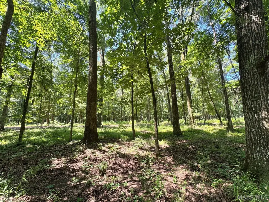 8 Chaseway Drive, Pike Road, AL 36064 - #3