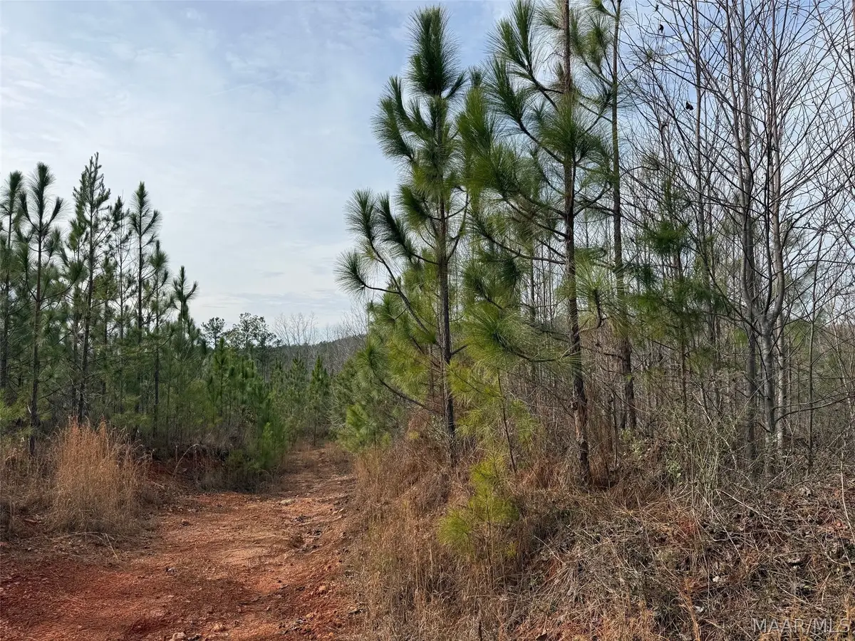 00 Valley Road, Millerville Hollins, AL 35106 - #1