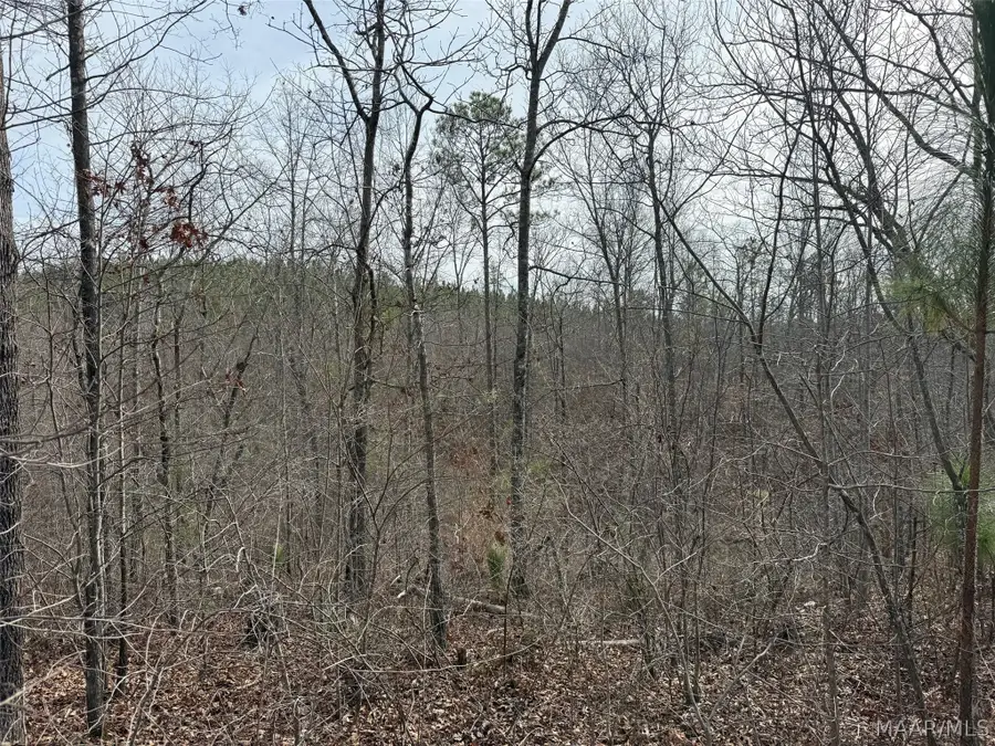 00 Valley Road, Millerville Hollins, AL 35106 - #3