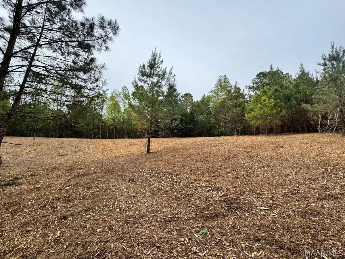 00 W Sprague Junction Road, Hope Hull, AL 36043 - #1
