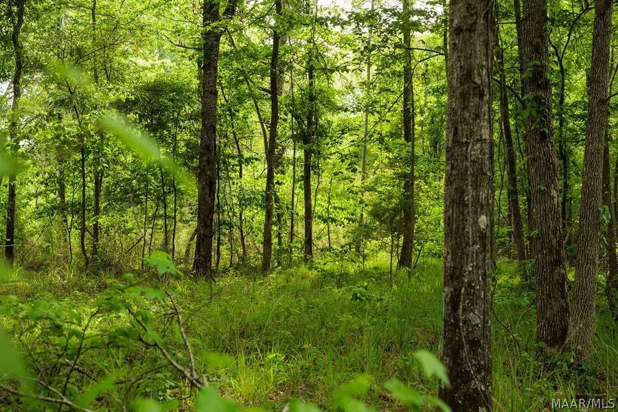 00 Hobbie Road, Ramer, AL 36106 - #2