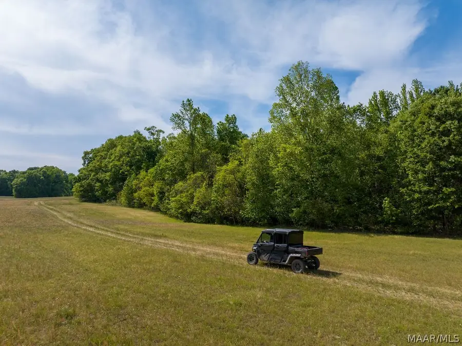 00 Hobbie Road, Ramer, AL 36106 - #3