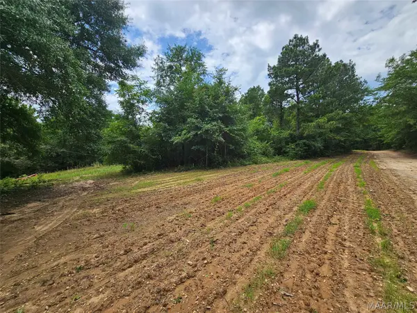 2520 Nettie Lane, Billingsley, AL 36006