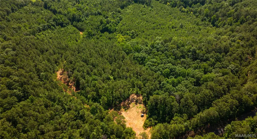 000 Bishop Ridge Road, West Blocton, AL 35184 - #3