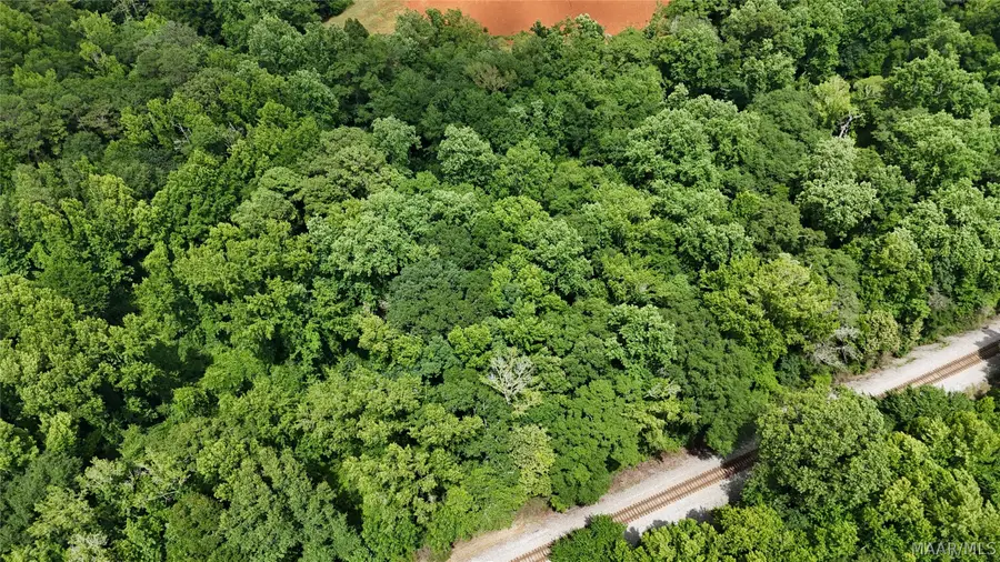 3100 Hwy 31 Highway, Verbena, AL 36091 - #2