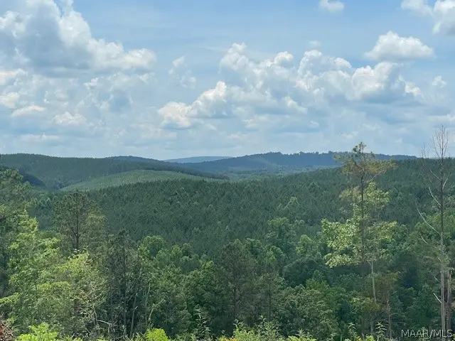 5000 Mines Road, Ashland, AL 36251 - #1