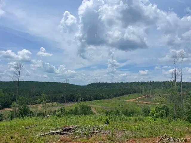 5000 Mines Road, Ashland, AL 36251 - #2