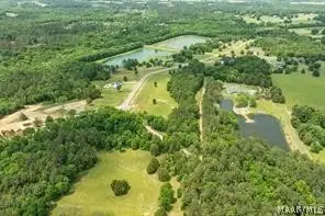 Lot 6 Leahmon Lane, Mathews, AL 36052