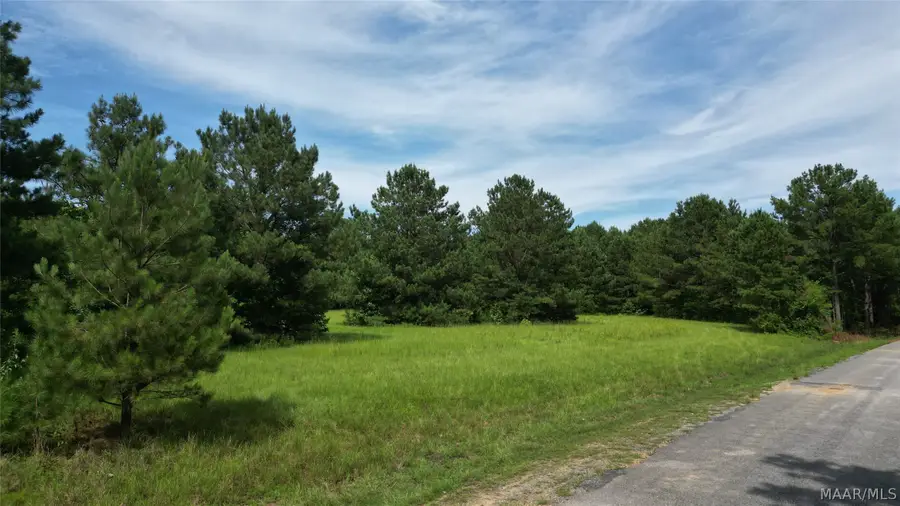00 Trace Road, Wetumpka, AL 36092 - #2