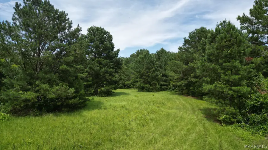 00 Trace Road, Wetumpka, AL 36092 - #3