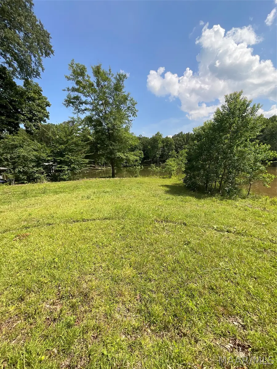 253 Peachwood Drive, Tallassee, AL 36078 - #3