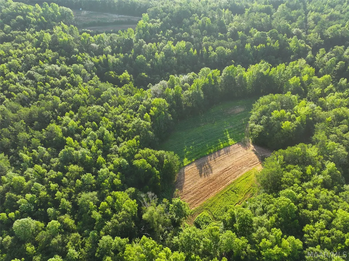 34 Hunter Loop Road, Marbury, AL 36051 - #1